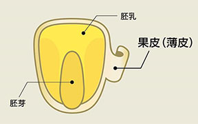 ビニールのようなもの右：lately_faq_img_05_03.jpg