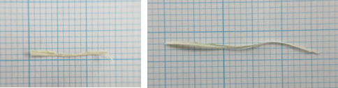 さやいんげんの筋.png