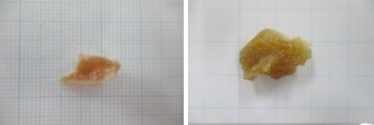 コンソメ.png